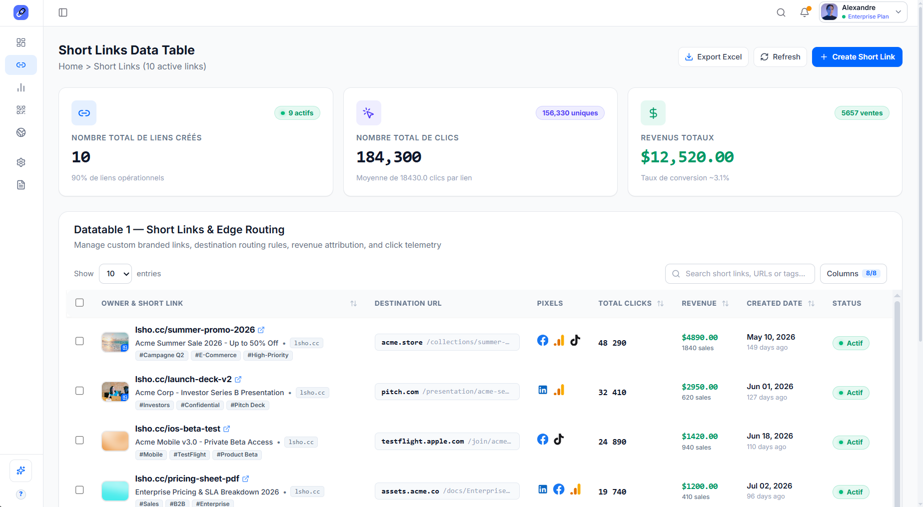 LShorter Links & Custom Domains - aperçu 1